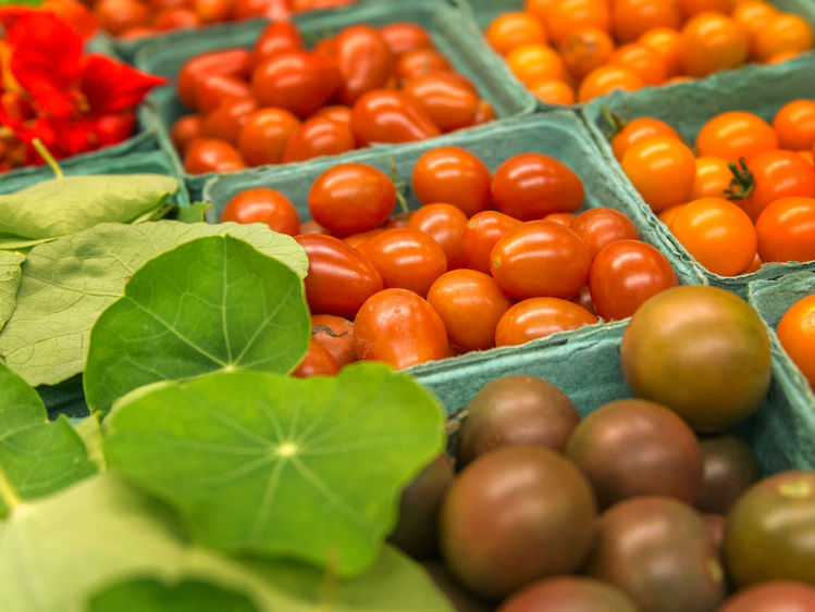 tomatoes tomatoes