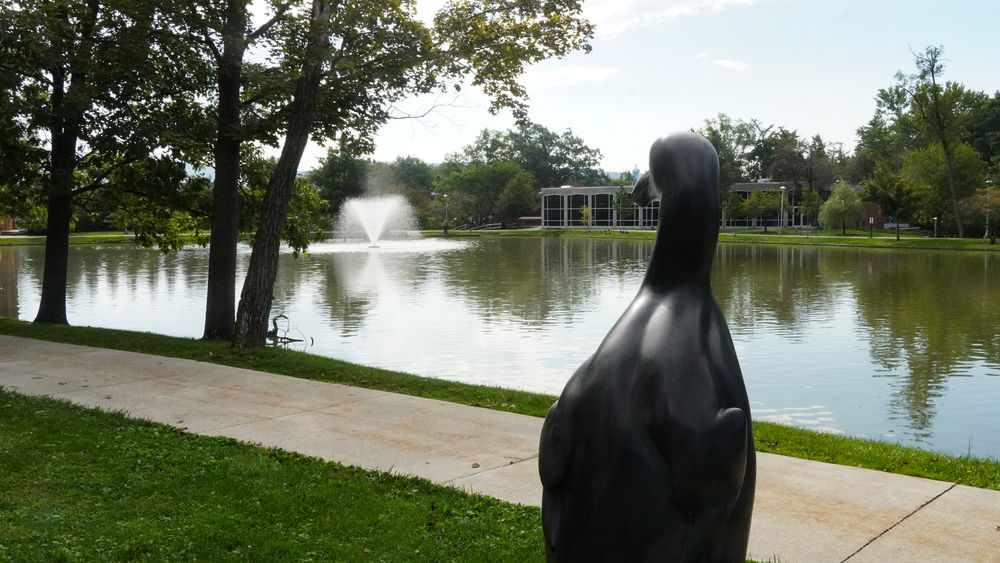 Great Auk statue