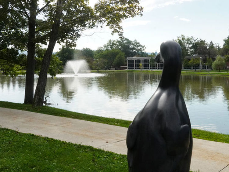 The great auk, which was a large flightless seabird found in the North Atlantic Ocean, can be found at the Penn State Altoona Reflecting Pond.