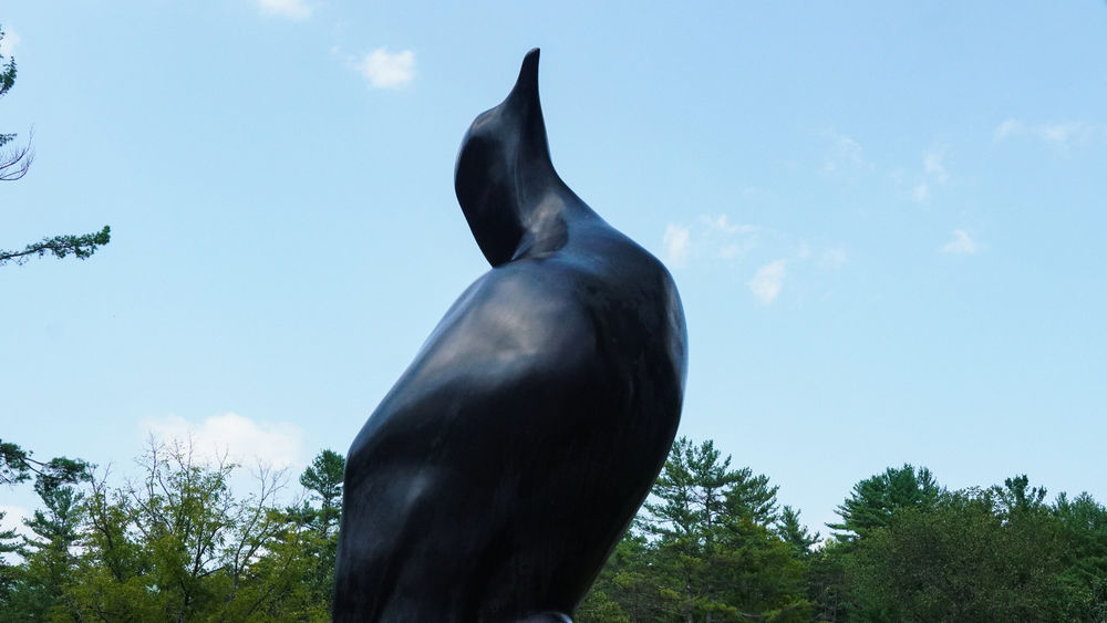 Passenger Pigeon statue