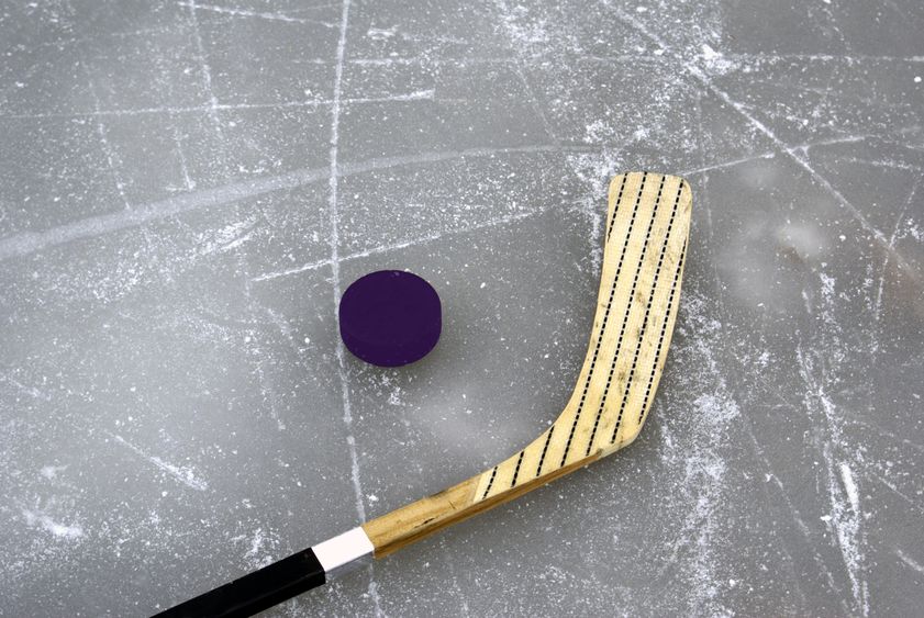 Purple Puck Night