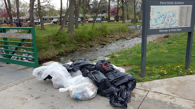 Spring Run Clean-up