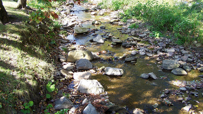 Spring Run on the Altoona campus