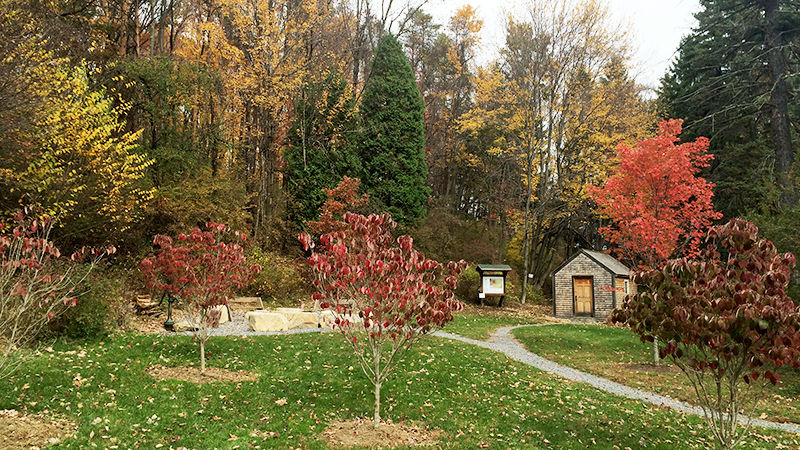 Thoreau Cabin and Seminar Forest at Penn State Altoona