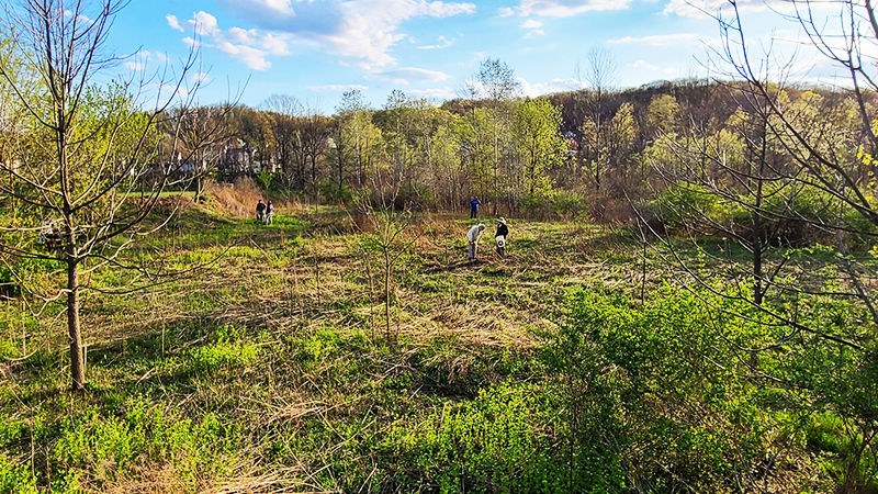 students, professors, alumni, and community members participate in a native planting initiative in Tipton, PA.