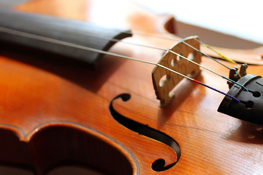 Close up image of a violin